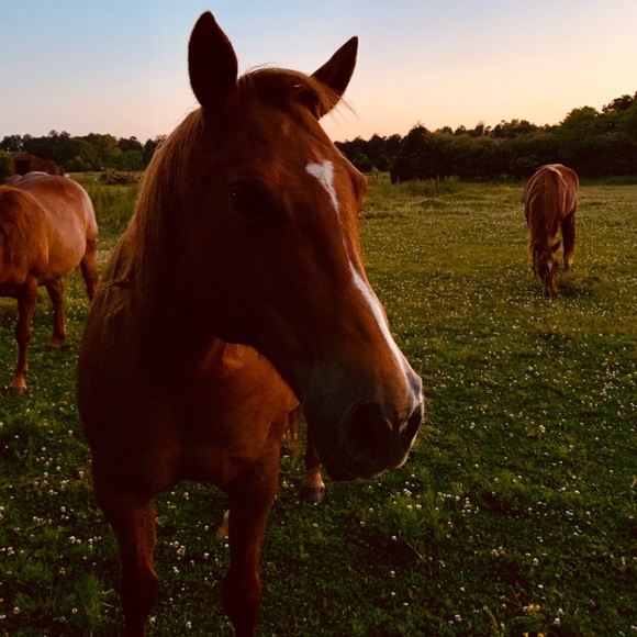 😃Hello there & Welcome...... - Picture 11 of 15